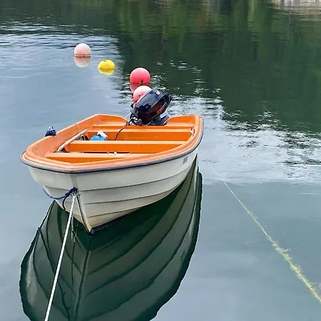 Reksteren Haukafer
